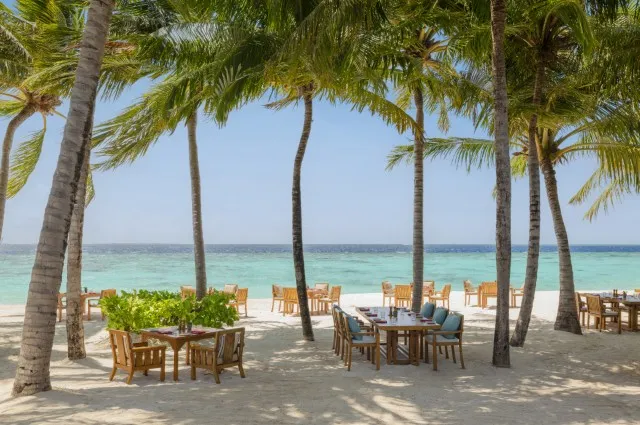 Tailor Made Holidays & Bespoke Packages for The Halcyon Private Isles Maldives, Autograph Collection