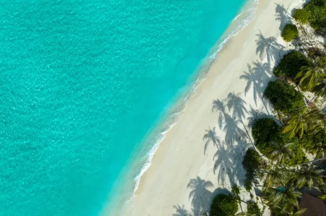 Tailor Made Holidays & Bespoke Packages for Avani+ Fares Resort
