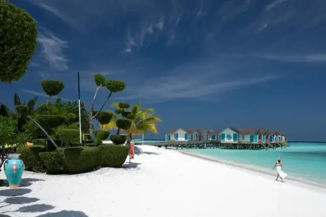 Tailor Made Holidays & Bespoke Packages for Cora Cora Maldives