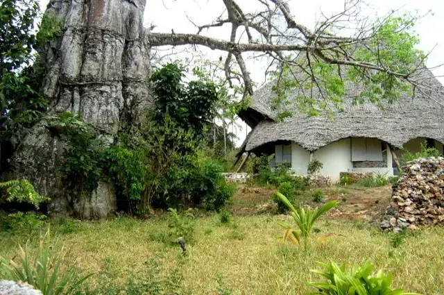 Baobab Villa - Typical Villa