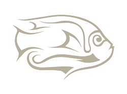 Angelfish logo