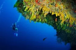 Anantara Kihavah Villas