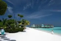 Cora Cora Maldives