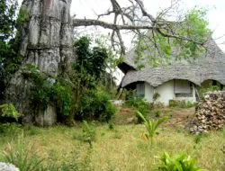 Baobab Villa - Typical Villa