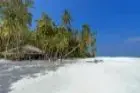 Yash Nature Resort