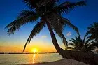 Kurumba